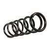 Par Molas Dianteiras BDS Suspension "+2,5 cm" Grand Cherokee WJ Diesel - Image 2